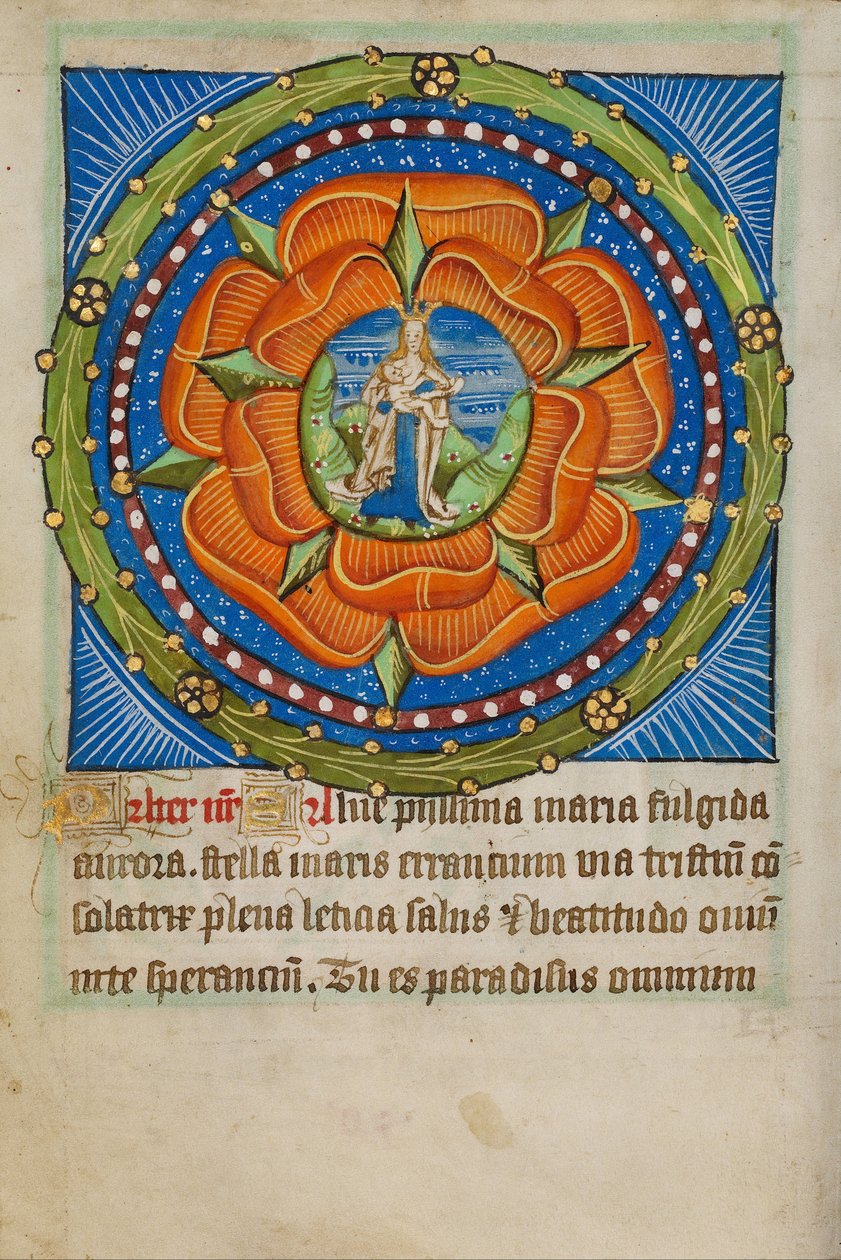 Rozenkrans met Virgo Lactans door Unbekannt Unbekannt