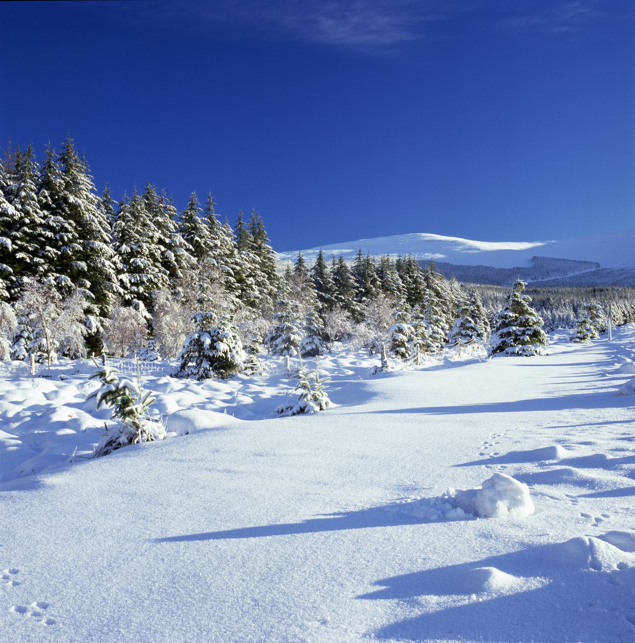 De Wicklow-bergen in de winter door Unbekannt Unbekannt