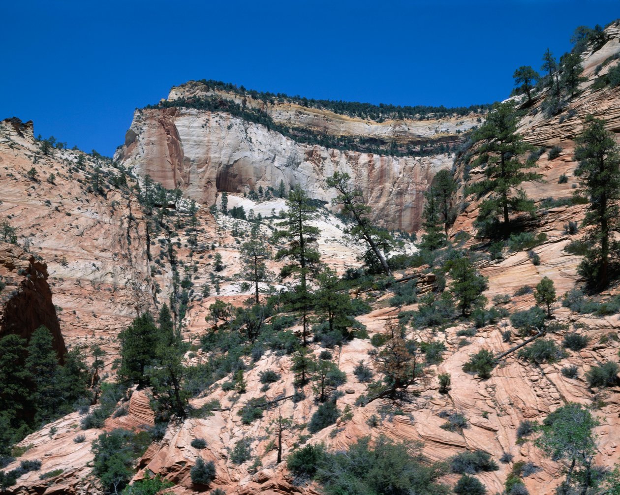 Zion National Park, Utah door Unbekannt Unbekannt