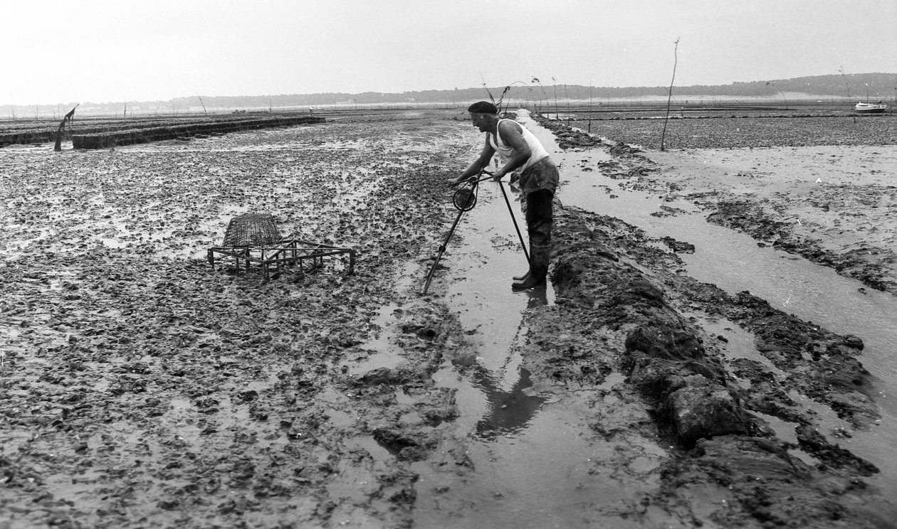 Oesterkweker in Vendée Oester Augustus 1974 door Unbekannt