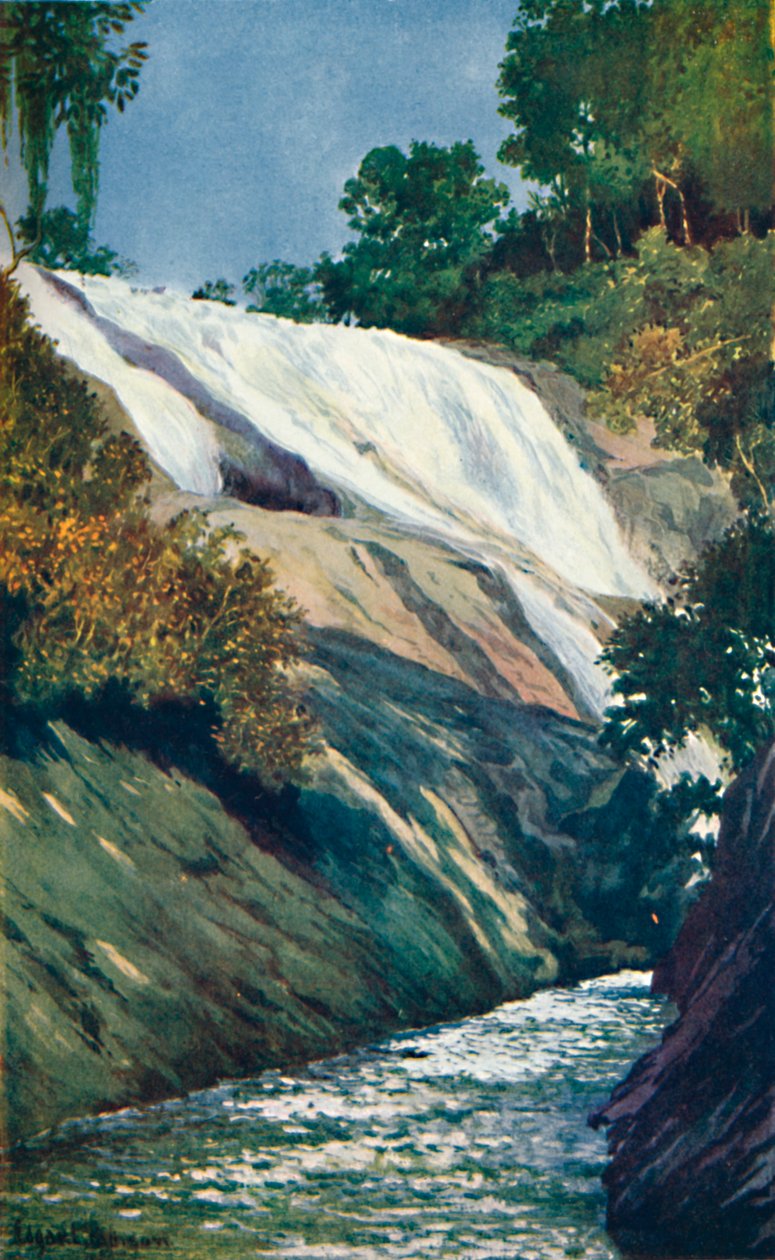 Een waterval bij Tijuca, Rio, 1914 door Unbekannt