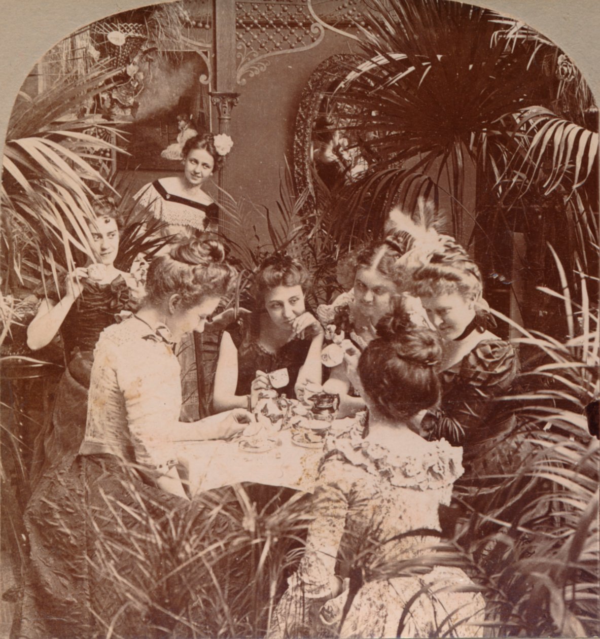 Een fortuin in een theekopje, 1901 door Unbekannt