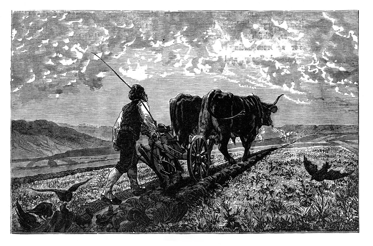 Een Franse landbouwer, ca. 1890 door Unbekannt