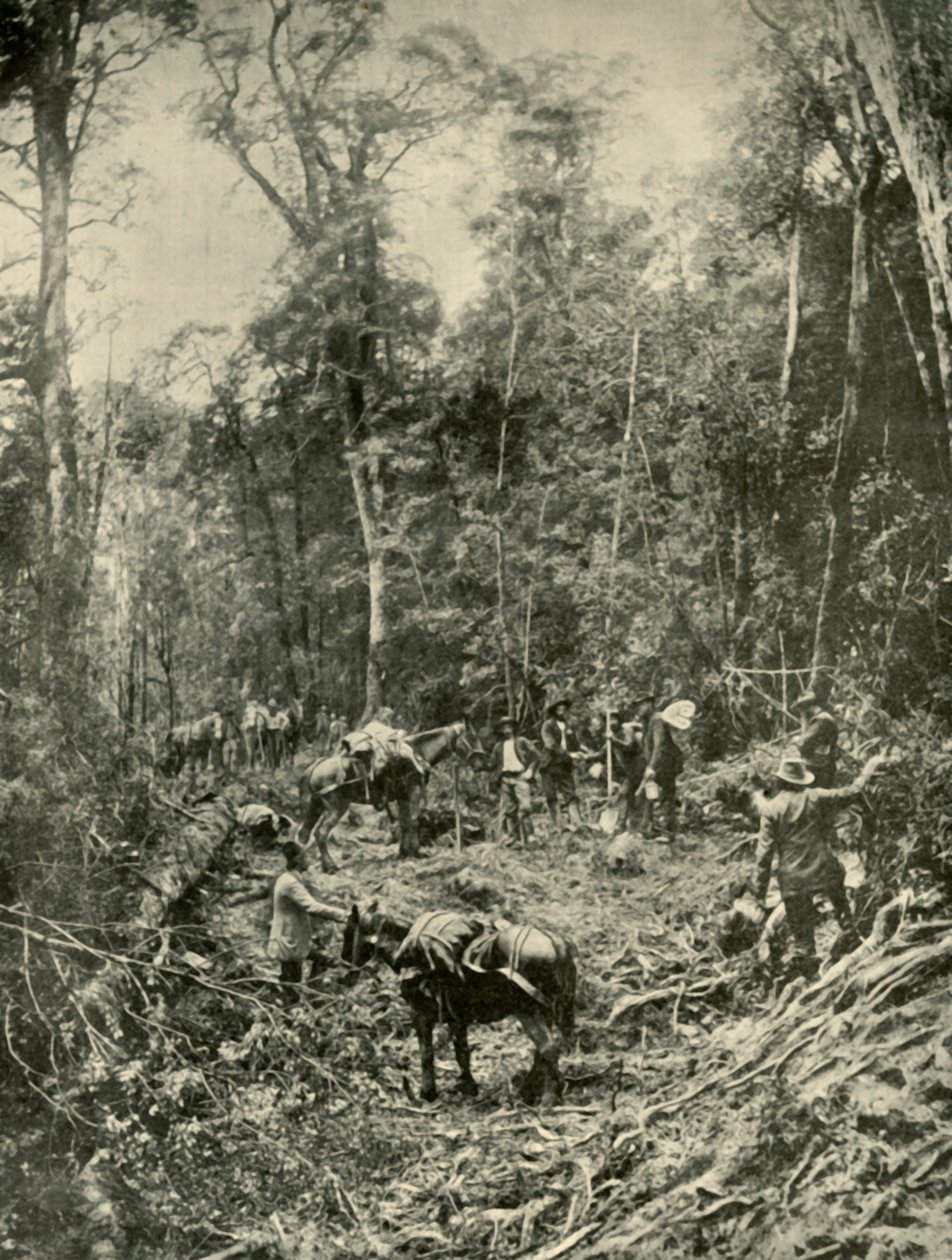 Een Ruige Weg, Tasmanië, 1901 door Unbekannt