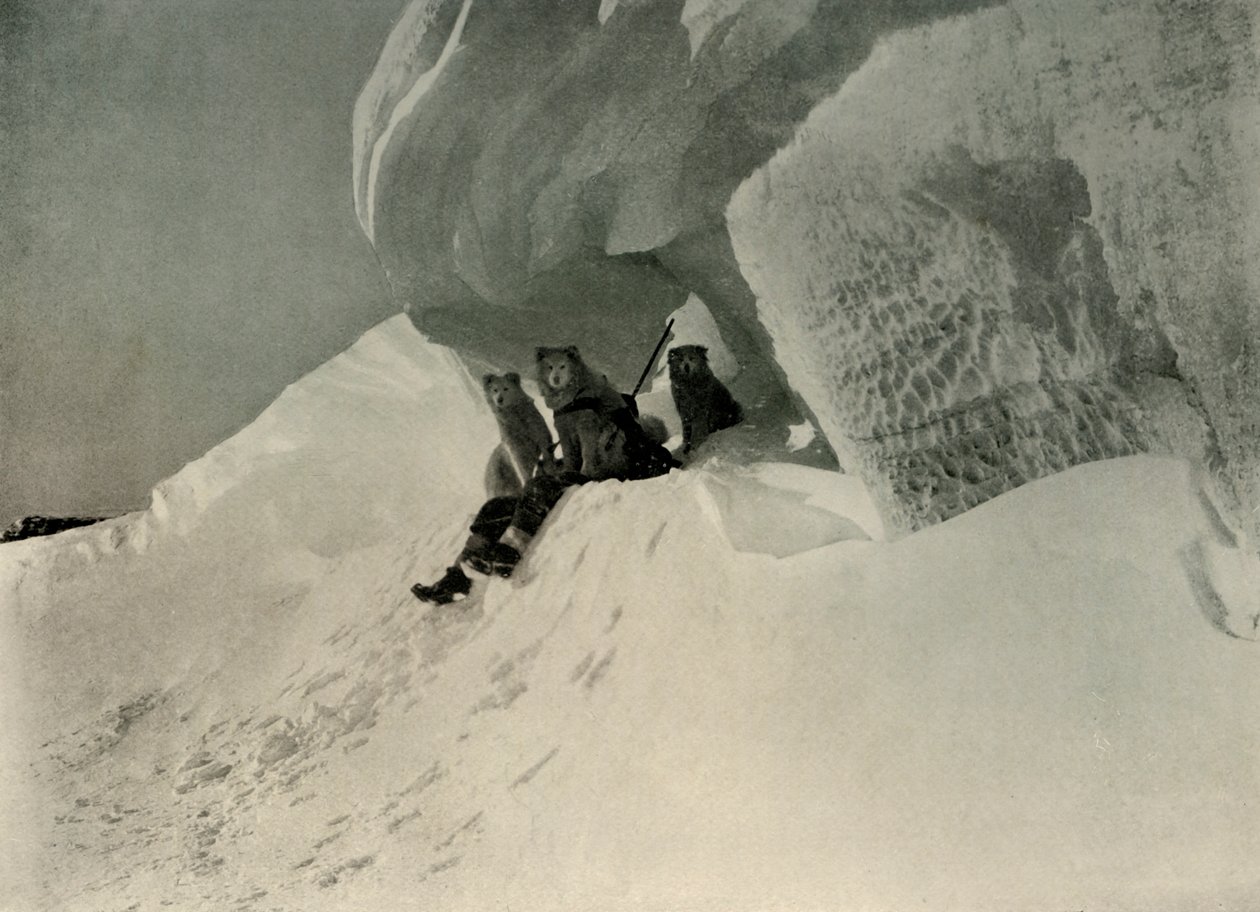 Een sneeuwkroonlijst, c1908 door Unbekannt