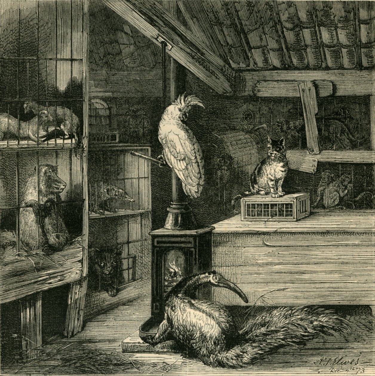 Een wilde-dierenwinkel, ca. 1873 door Unbekannt