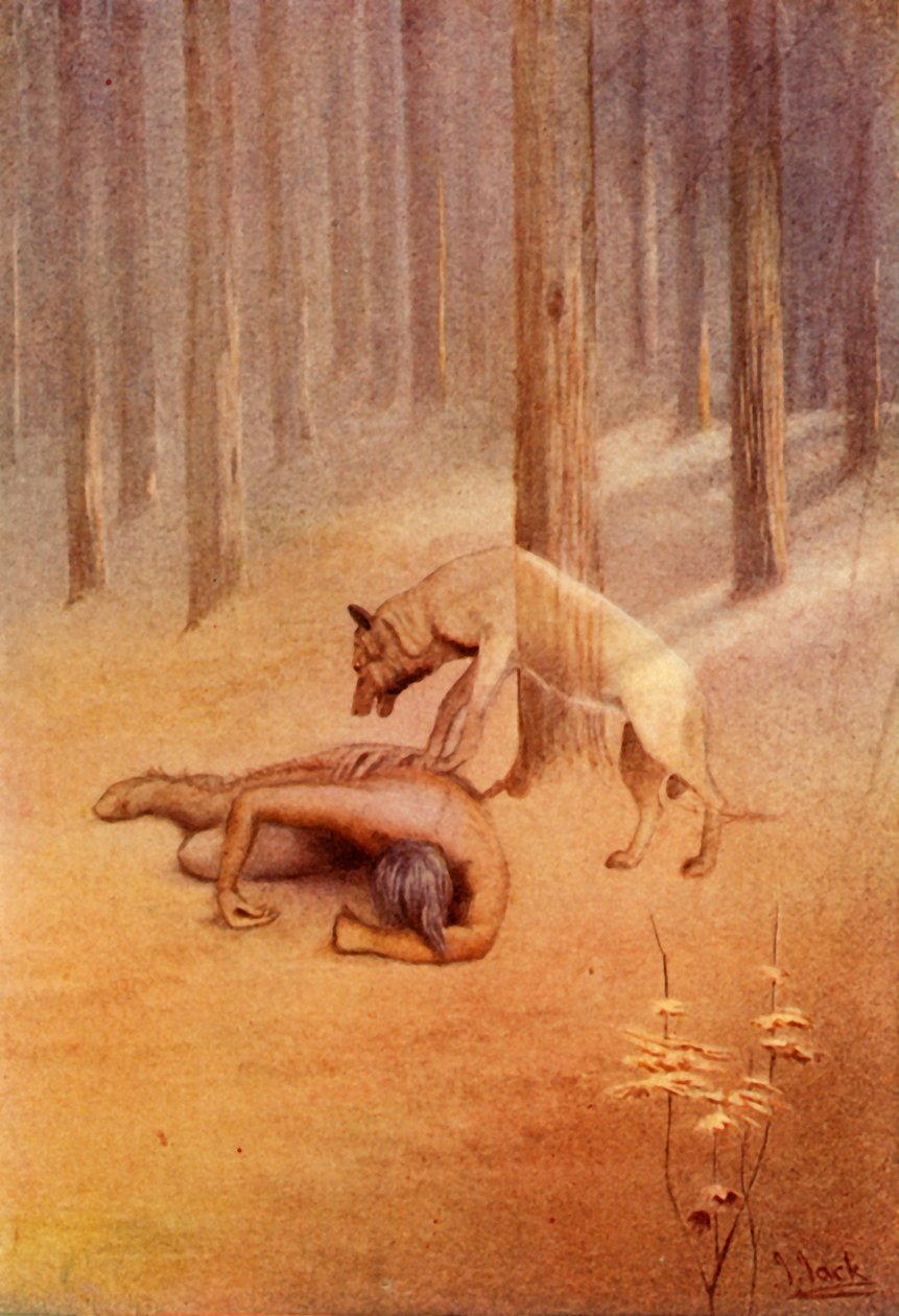 Avontuur met een totem, 1914 door Unbekannt