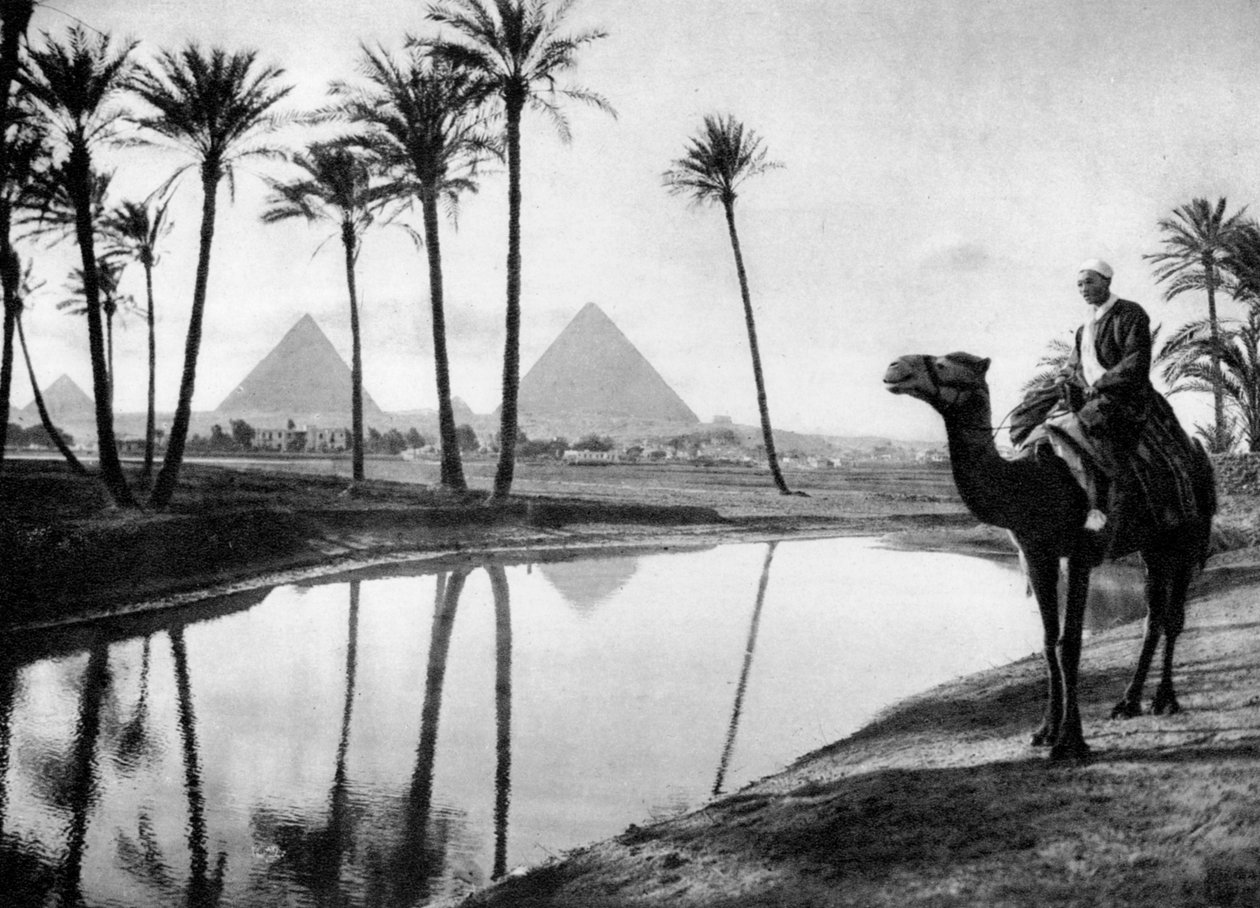 Een oase bij Caïro, Egypte, ca. 1920s door Unbekannt