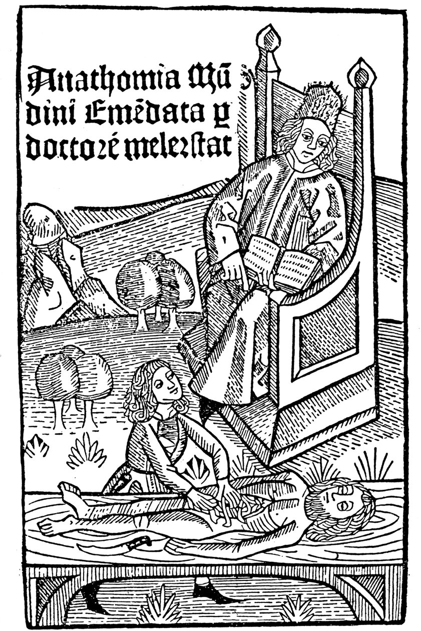Anatomische demonstratie, 1493 door Unbekannt
