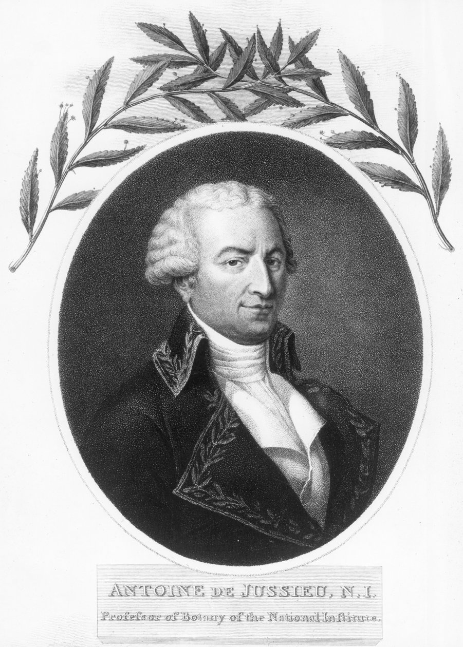 Antoine de Jussieu, 18e-eeuwse Franse botanicus, 1807 door Unbekannt