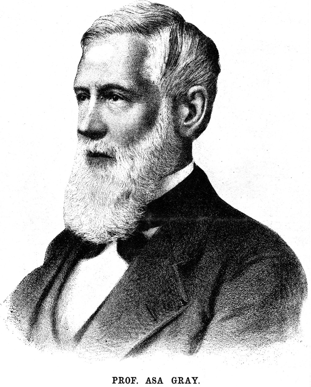 Asa Gray, Amerikaanse botanicus, 1888 door Unbekannt