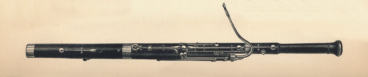 Fagot, 1895 door Unbekannt
