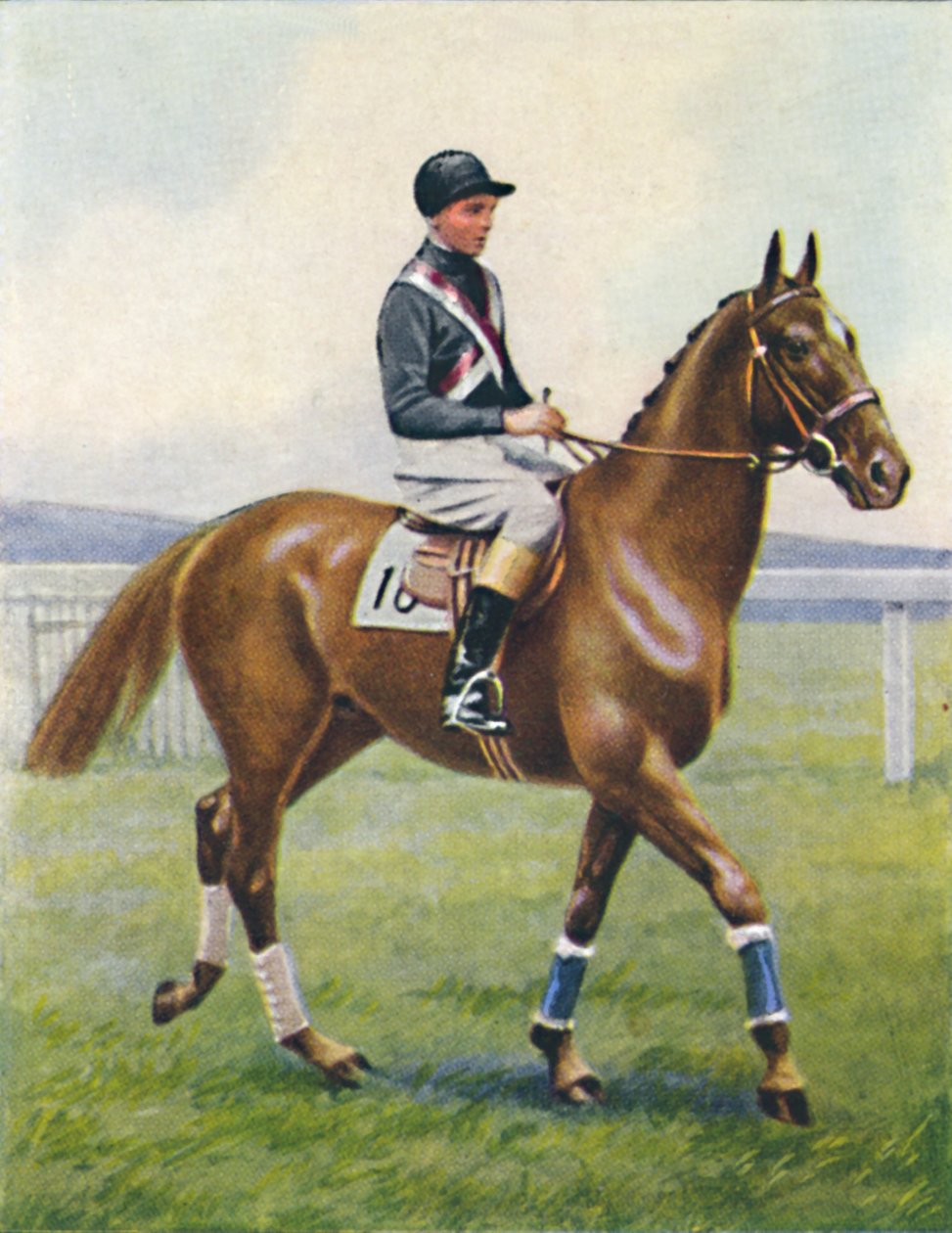 Slagschip, Jockey: B. Hobbs, 1939 door Unbekannt