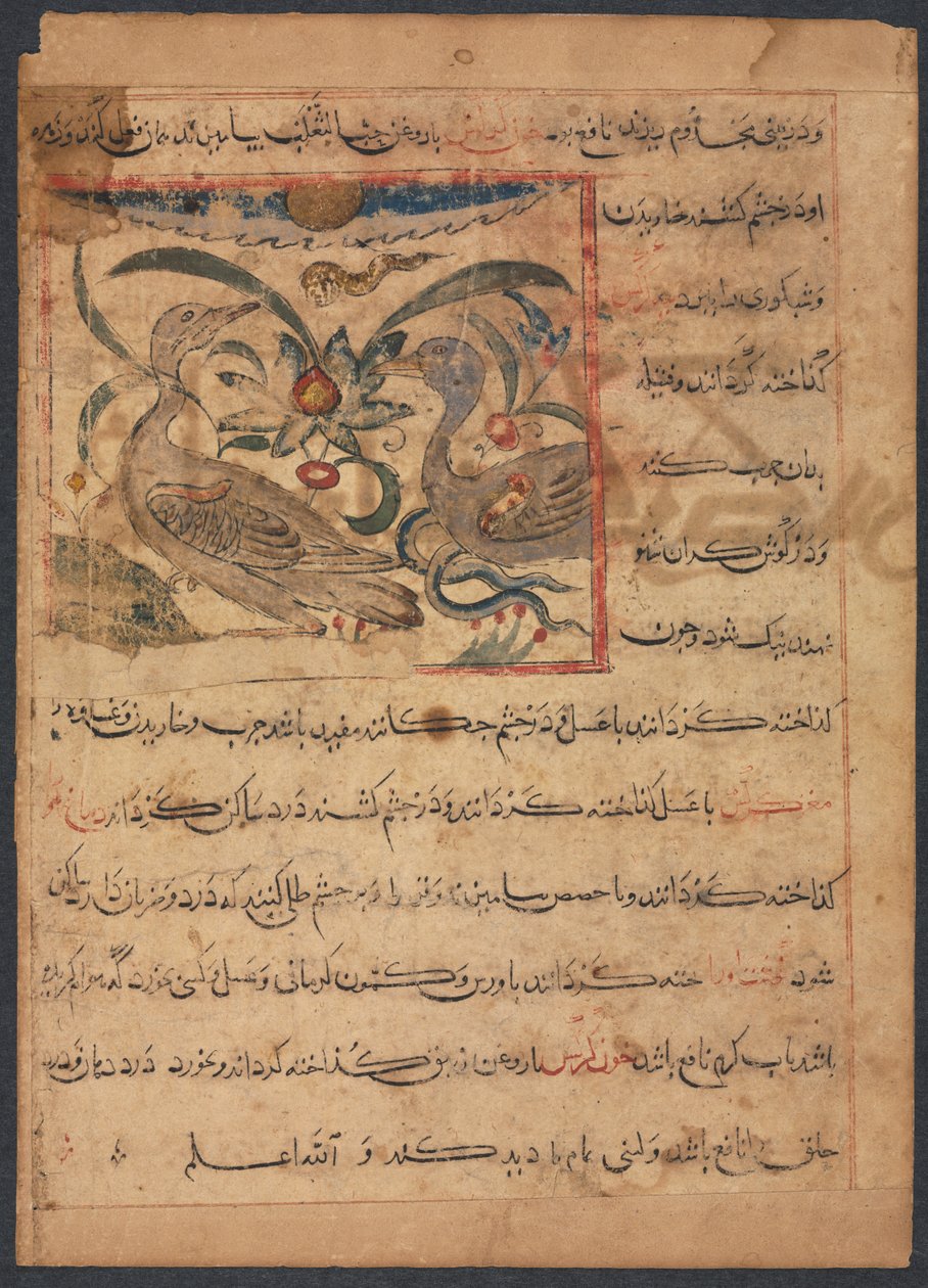Voordelen van de delen van gieren...verso, late 1200s door Unbekannt