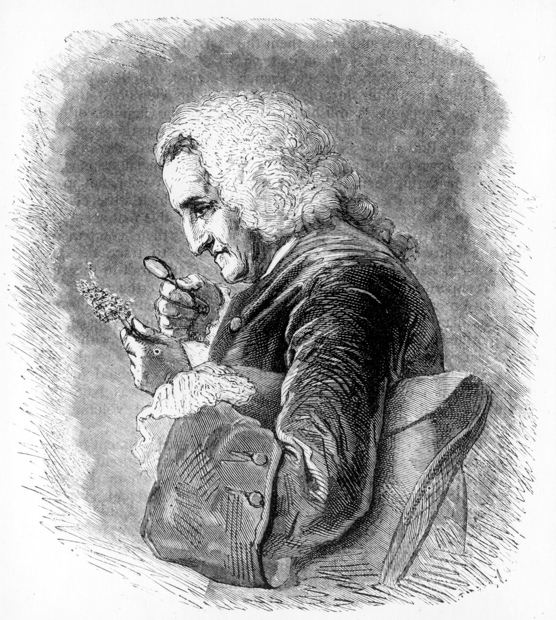 Bernard de Jussieu, 18e eeuwse Franse botanicus, 1880 door Unbekannt