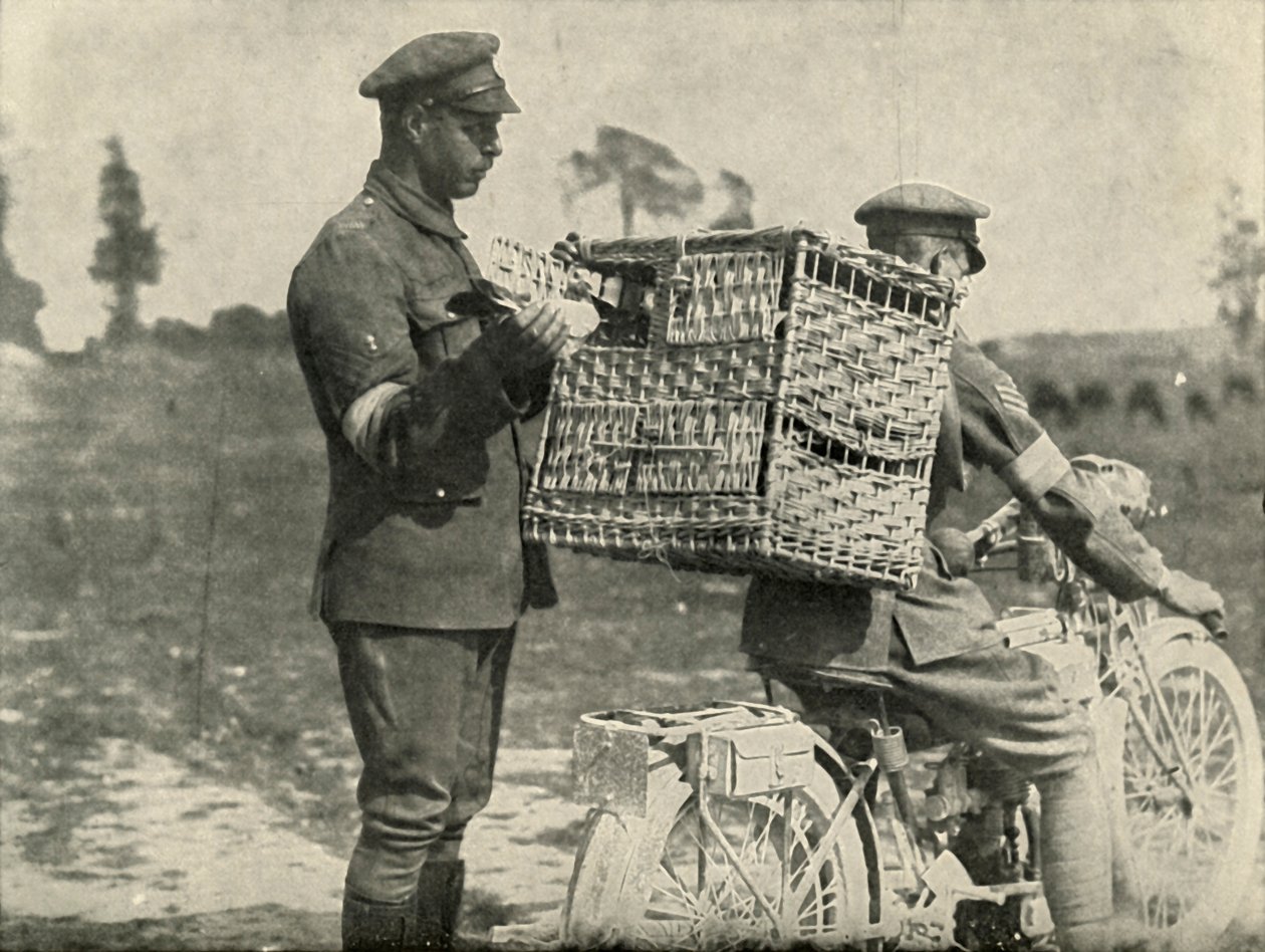 Britse legerduiven in Frankrijk, 1919 door Unbekannt
