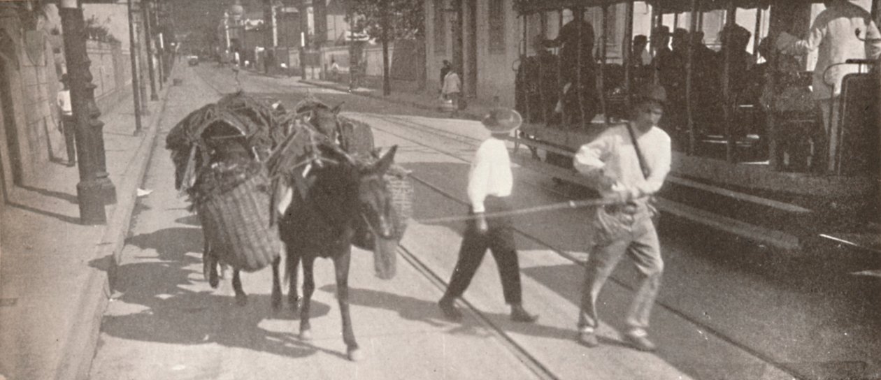 Per tram en muilezel, 1914 door Unbekannt