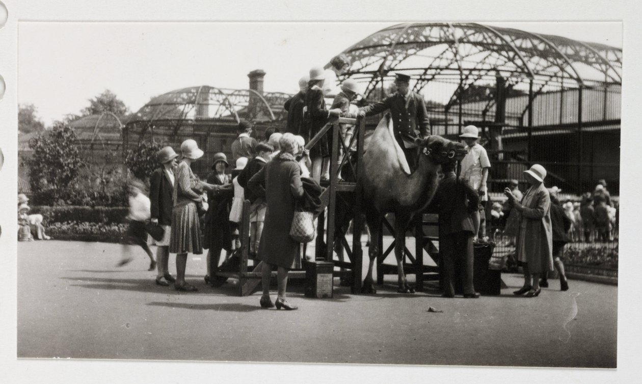 Kameelrit, circa 1930 door Unbekannt