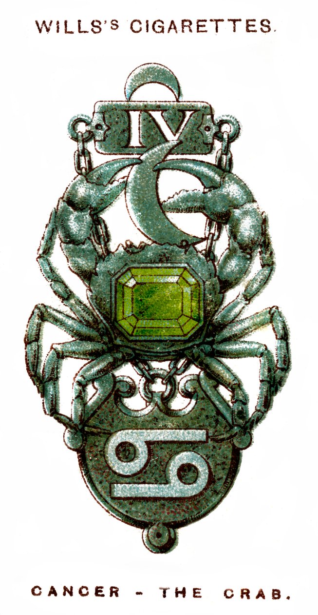 Kreeft, 1923 door Unbekannt