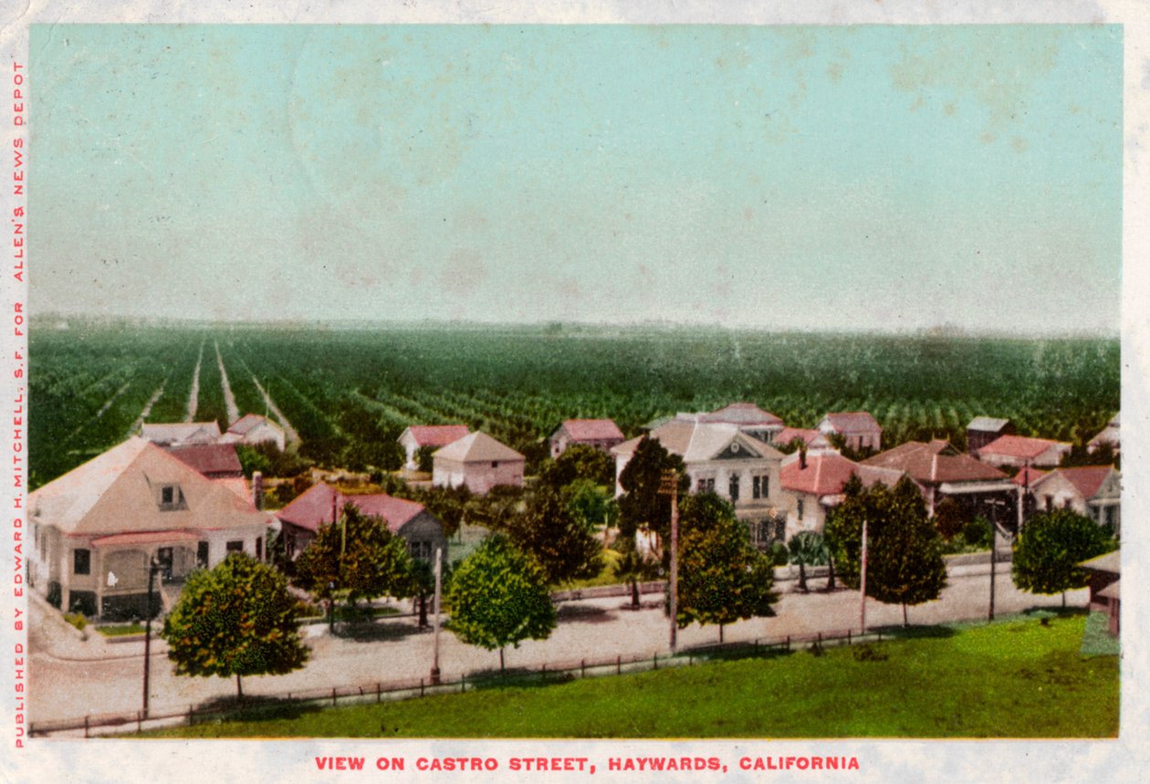 Castro Street, Hayward, Californië, 1905 door Unbekannt