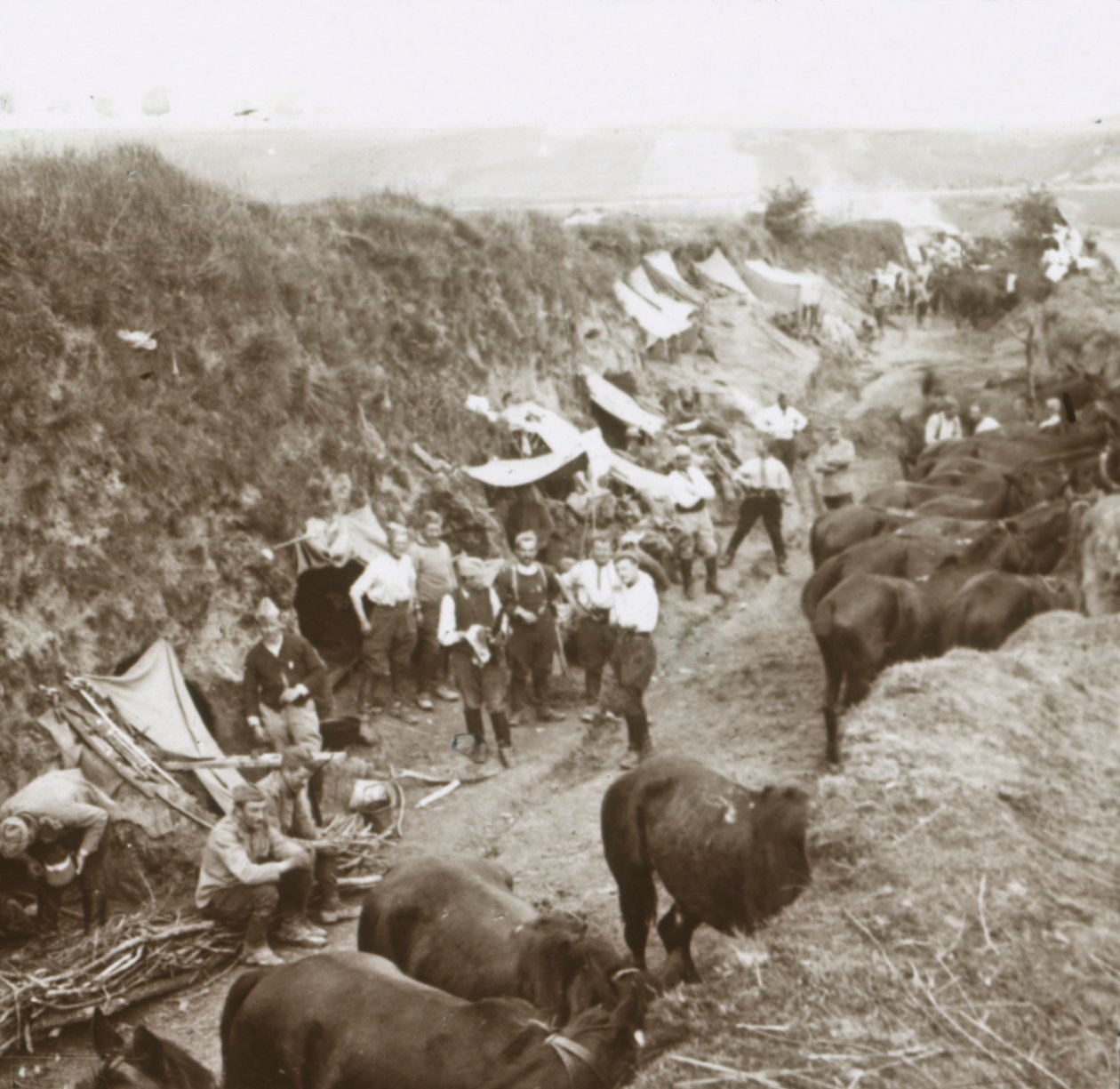 Cavalerie, ca. 1914-1918 door Unbekannt