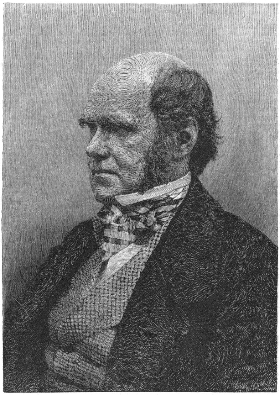 Charles Darwin, Engelse natuuronderzoeker, 1884 door Unbekannt