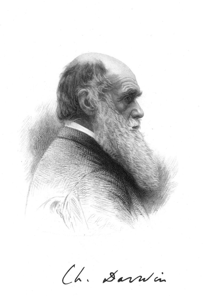 Charles Darwin, Engelse natuuronderzoeker, ca. 1880 door Unbekannt