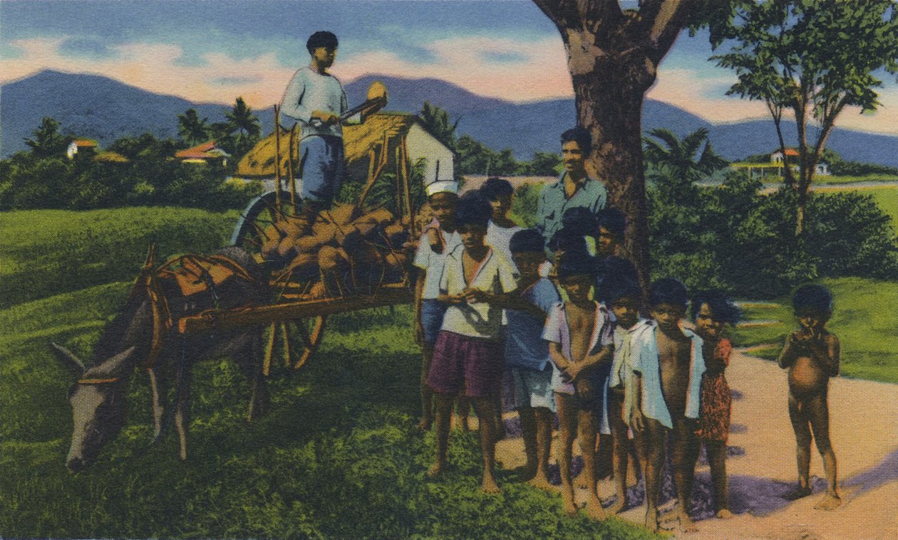 Kokosnootverkoper, Trinidad, B.W.I., c1940s door Unbekannt