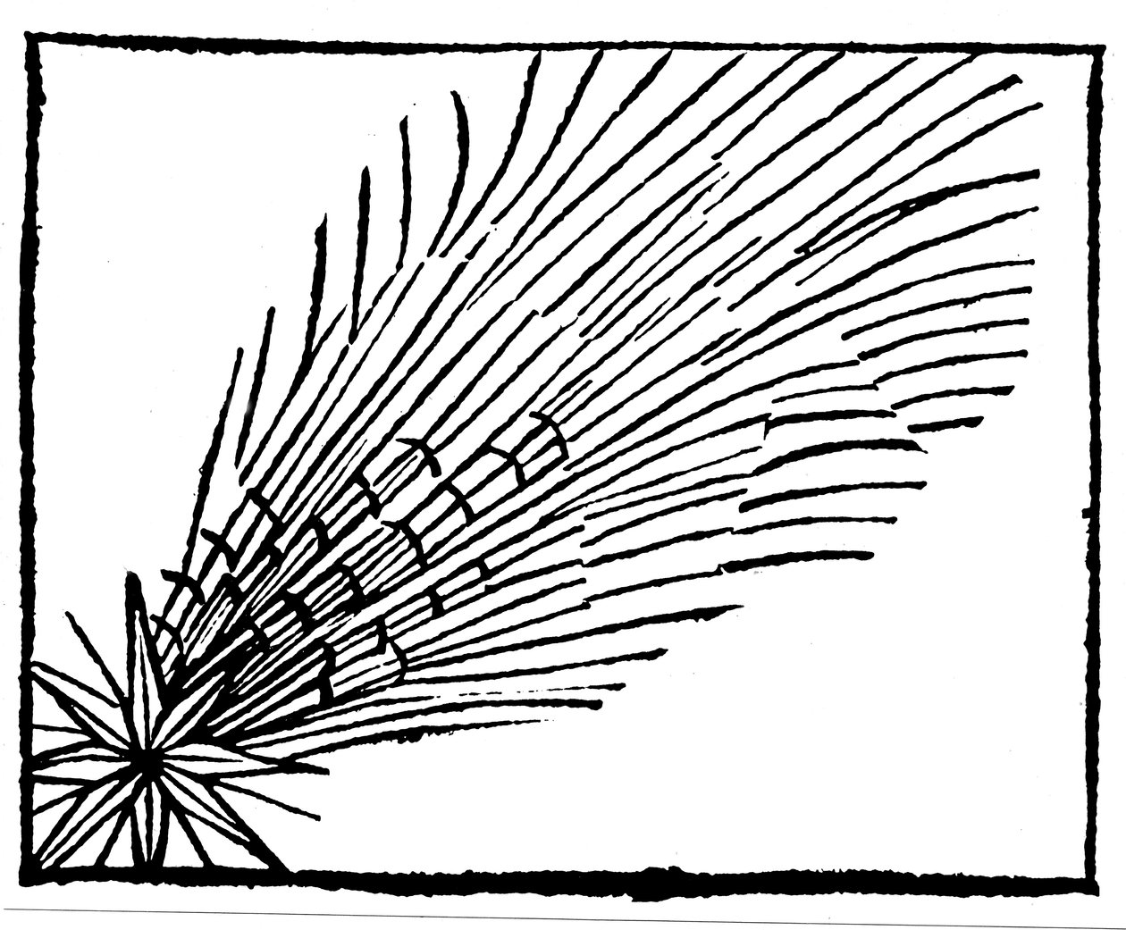 Komeet van 684 Halley, 1493 door Unbekannt