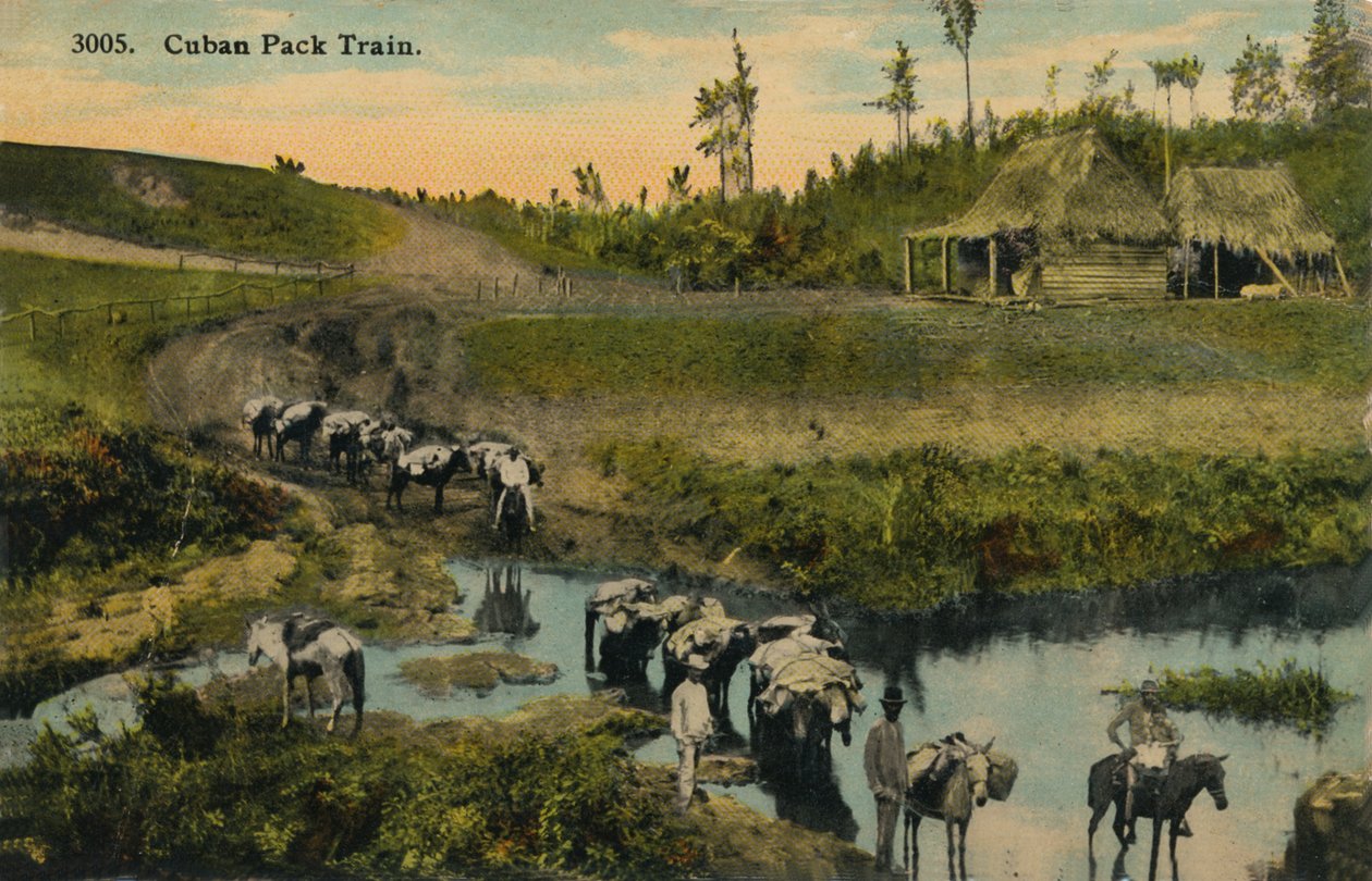 Cubaanse Paktrein, ca. 1910 door Unbekannt