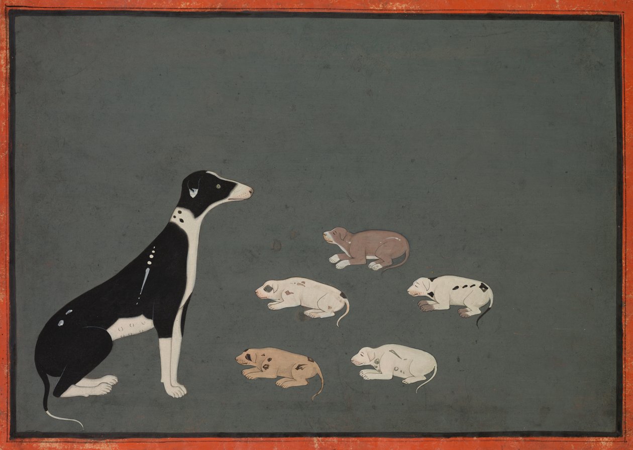Hond met pups, ca. 1780 door Unbekannt