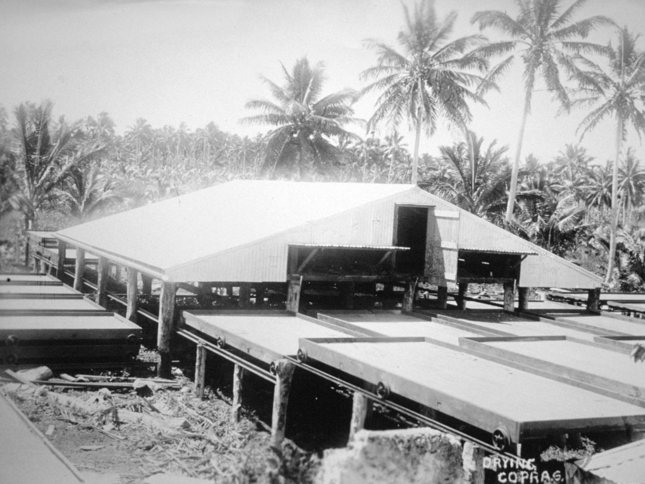 Copra drogen, Solomon Eiland, Fiji door Unbekannt
