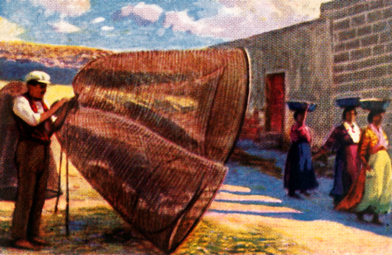 De netten drogen, Malta, ca. 1928 door Unbekannt