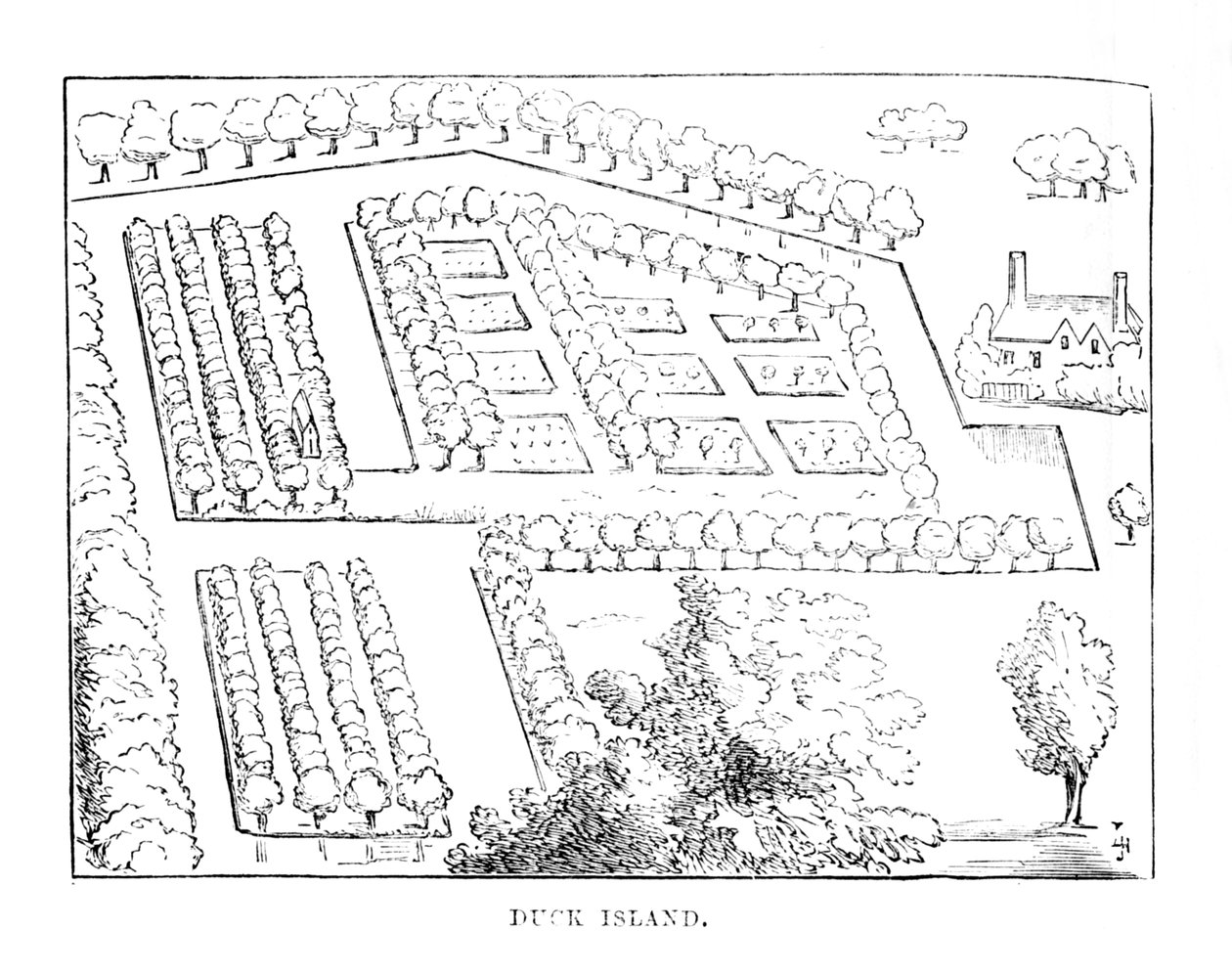 Eendeneiland, c1870 door Unbekannt