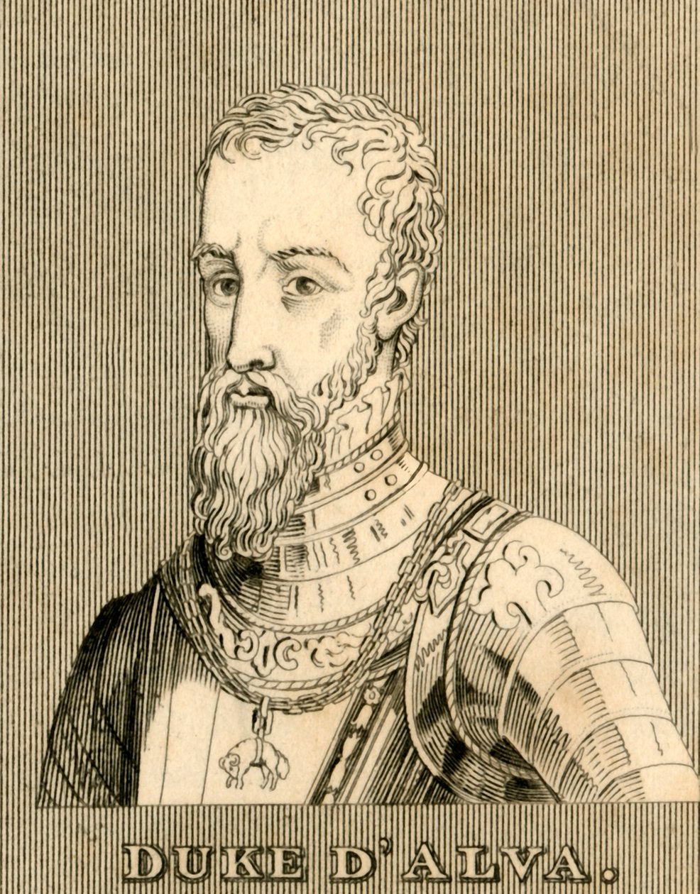 Hertog D