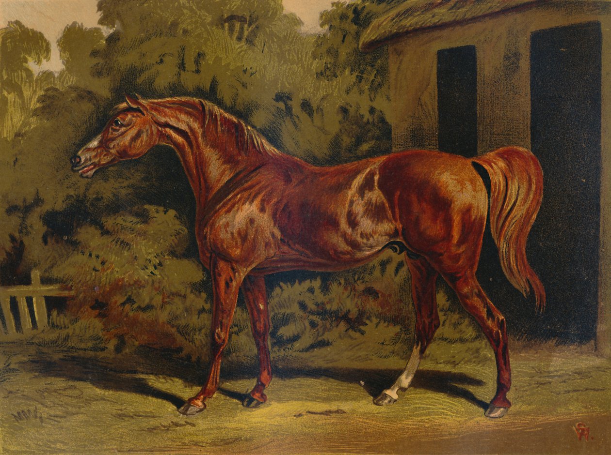Eclips, ca. 1879 door Unbekannt