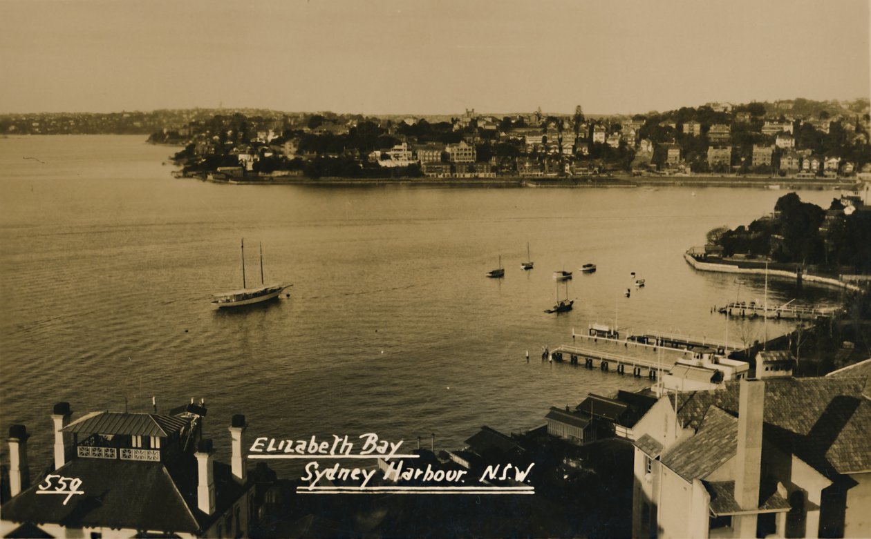 Elizabeth Bay, Sydney Harbour, N.S.W. door Unbekannt