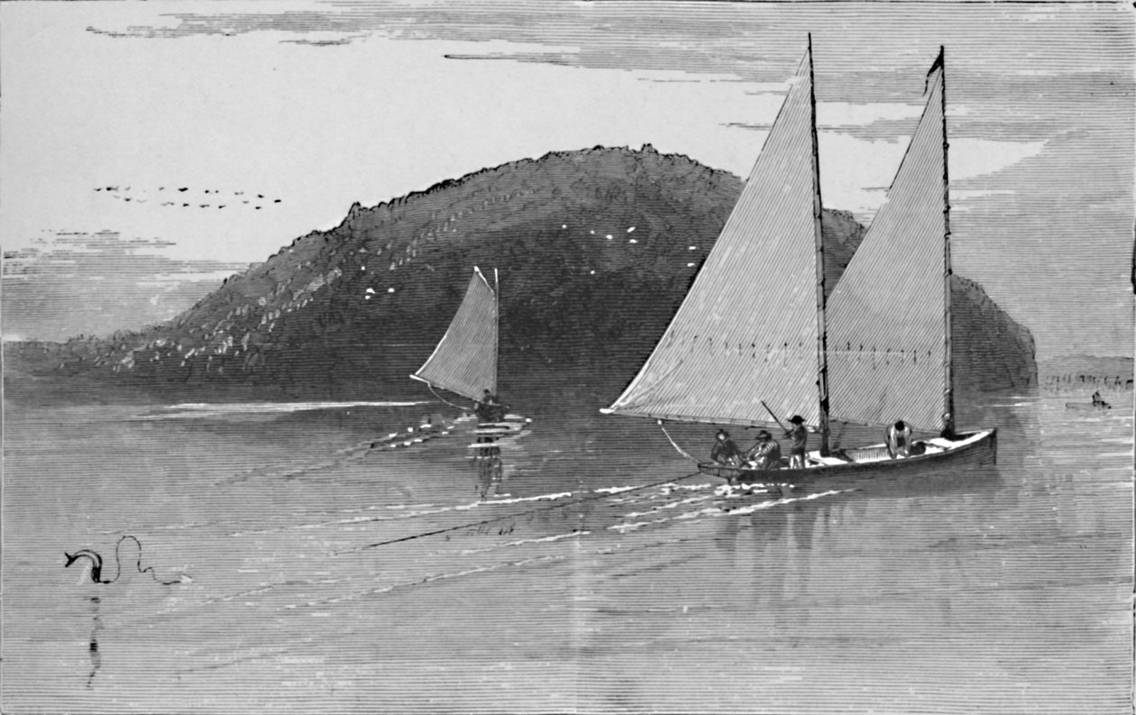 Vissen vanaf een zeilboot, 1883 door Unbekannt