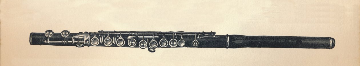 Fluit, 1895 door Unbekannt