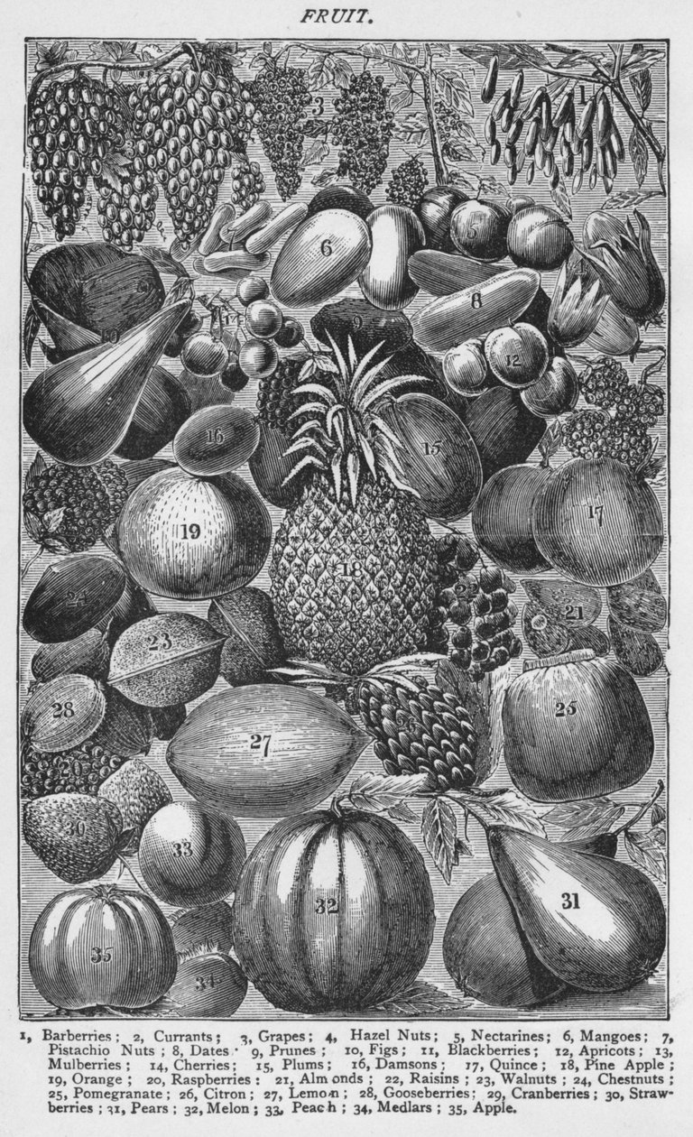 Fruit, 1907 door Unbekannt