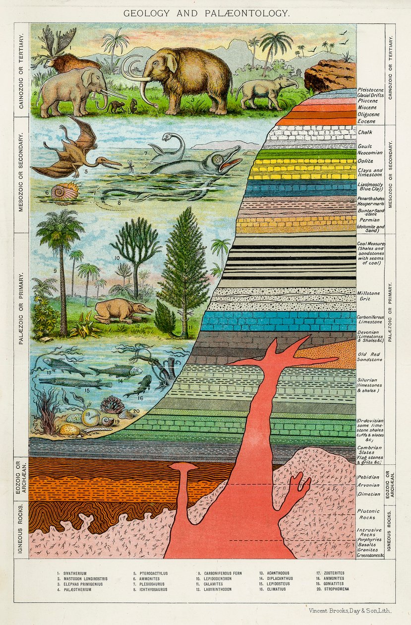Geologie en Paleontologie door Unbekannt