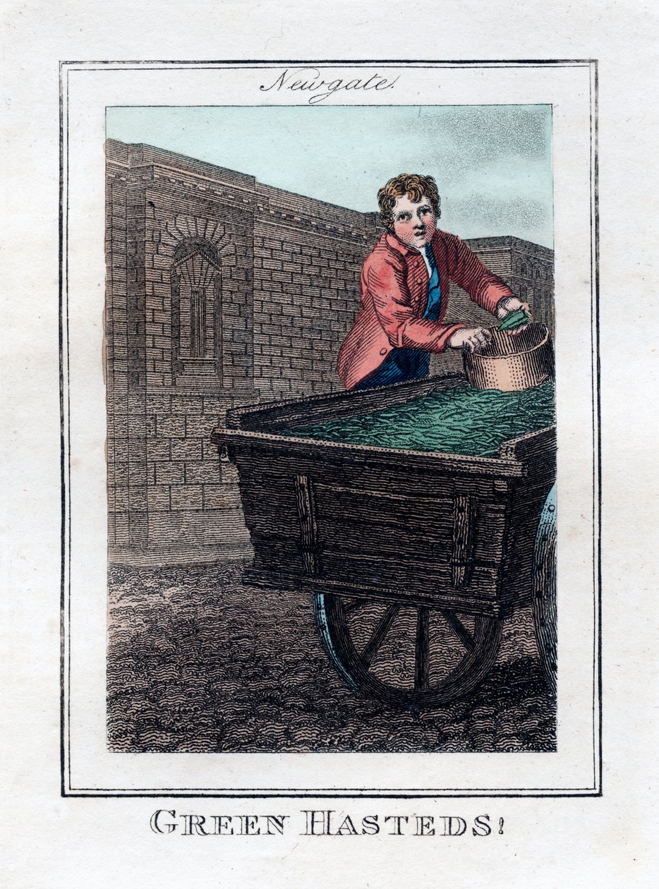Green Hasteds, Newgate, Londen, 1805 door Unbekannt