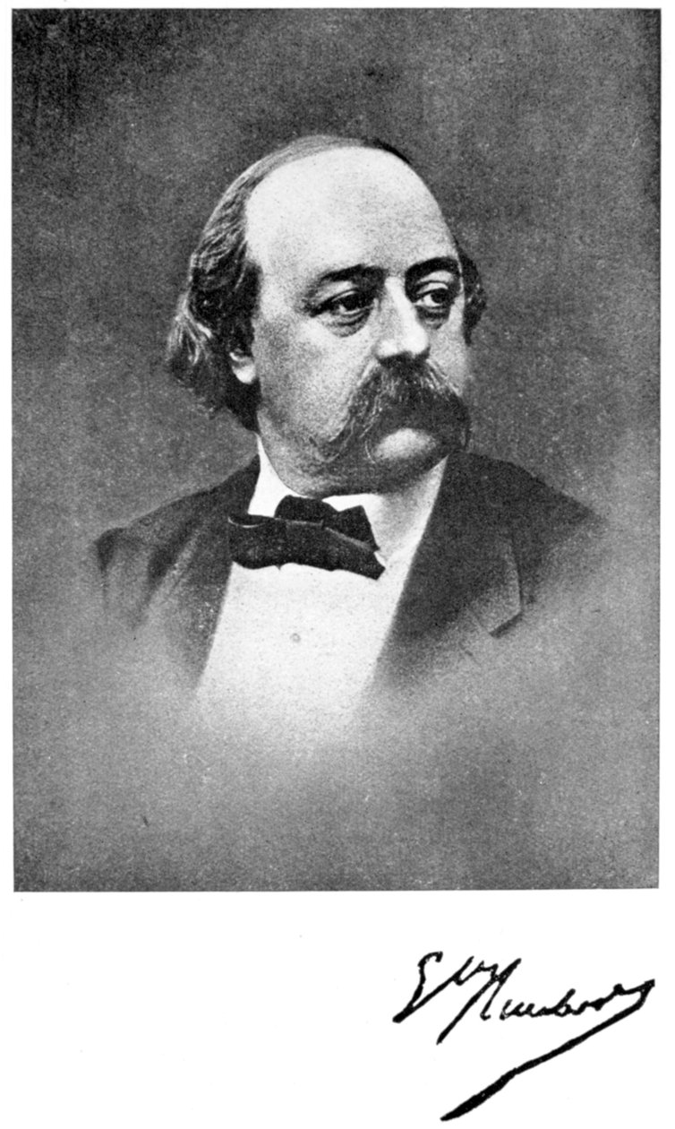 Gustave Flaubert, Franse romanschrijver, 19e eeuw door Unbekannt