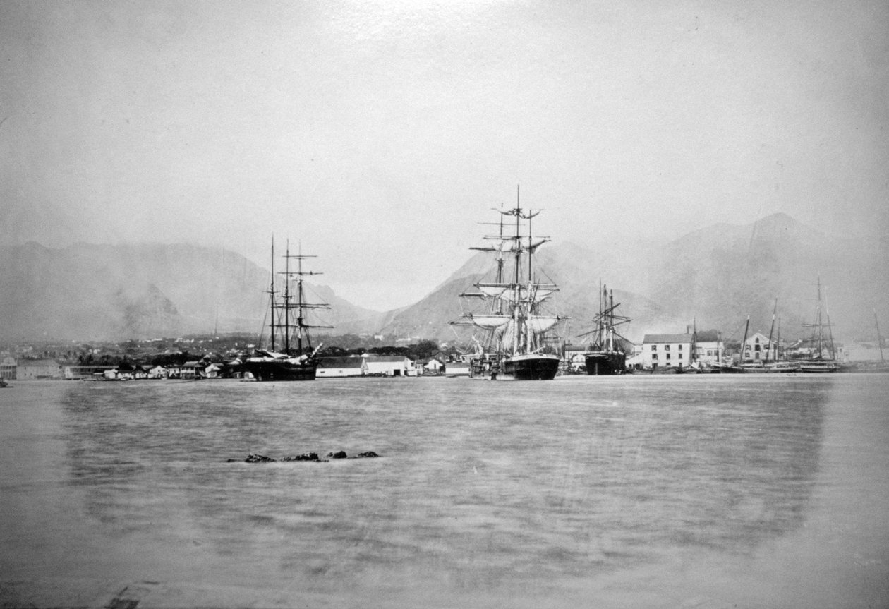 Honolulu, Hawaï, 1885-1890 door Unbekannt