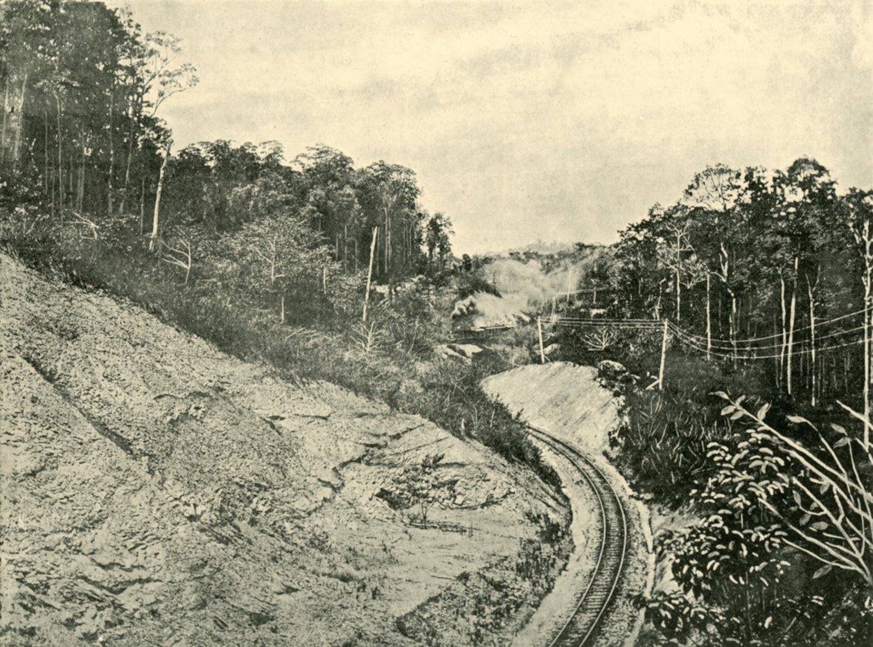 In de Blackall Ranges, 1901 door Unbekannt