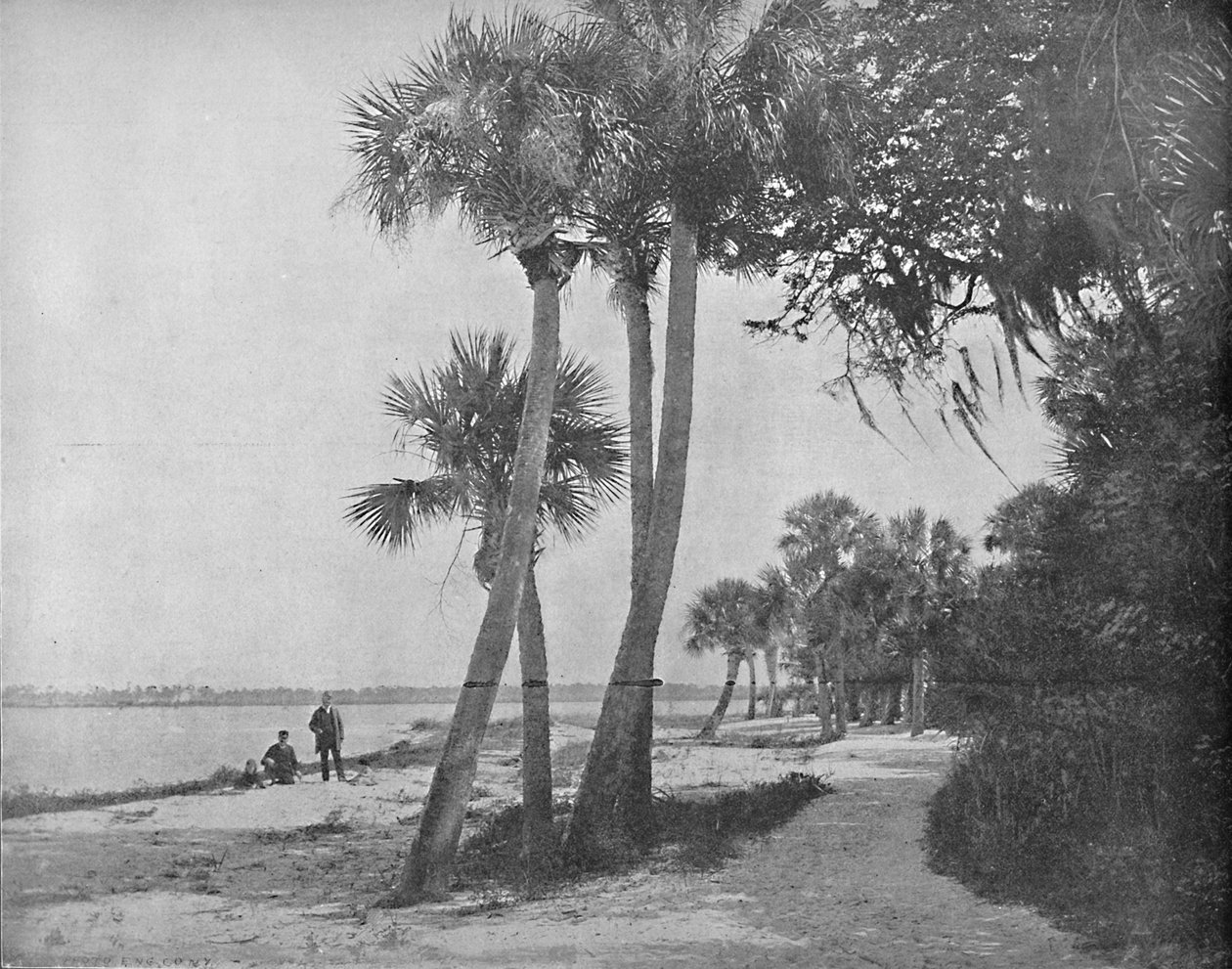 Indian River, Florida, ca. 1897 door Unbekannt