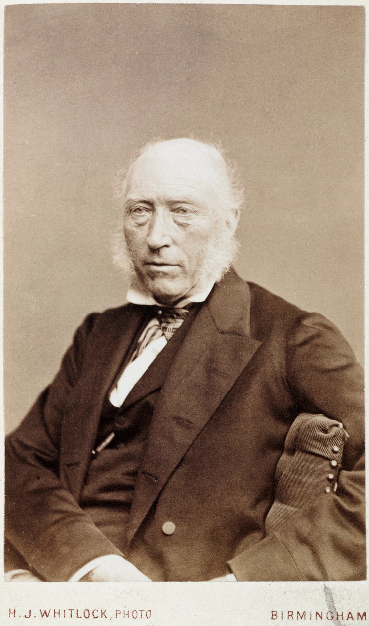 John Phillips, Engelse geoloog, ca. 1870 door Unbekannt
