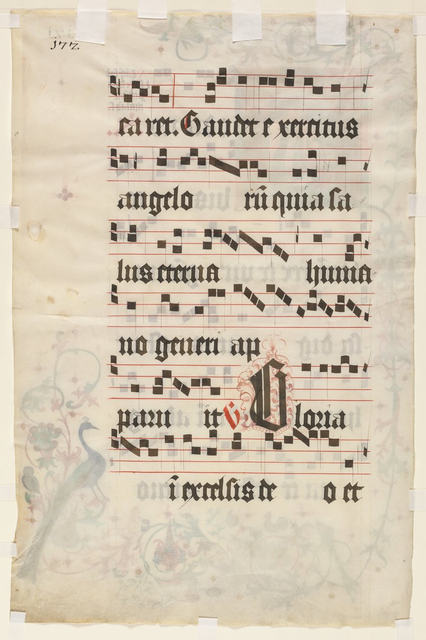 Blad uit een antifonarium: Tekst verso, c. 1480 door Unbekannt