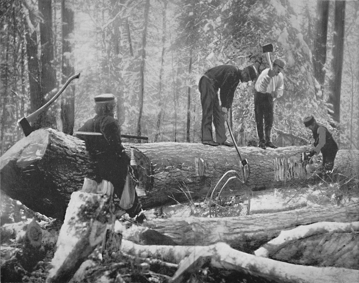 Houthakken aan de Ottawa-rivier, Canada, ca. 1897 door Unbekannt