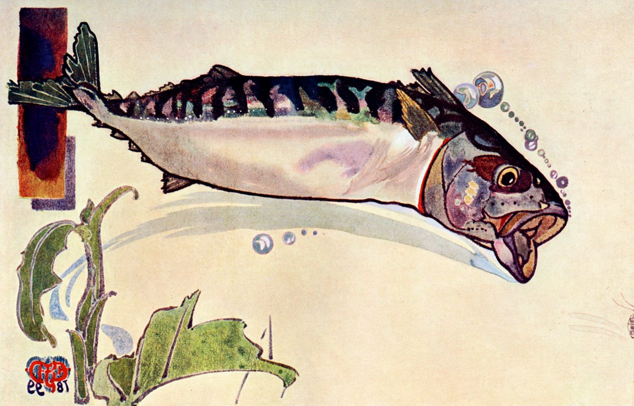 Makreel, 1900 door Unbekannt